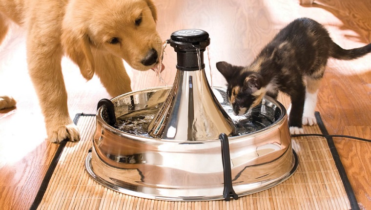 Steel Pet Fountain