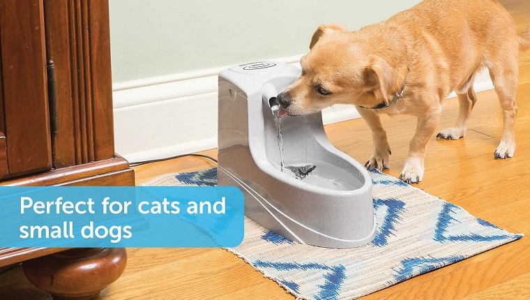 Mini Pet Fountain