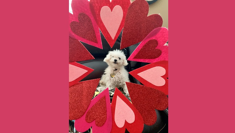 Leia in a heart wreath