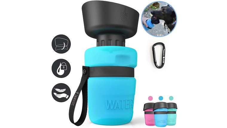 lesotc water bottle