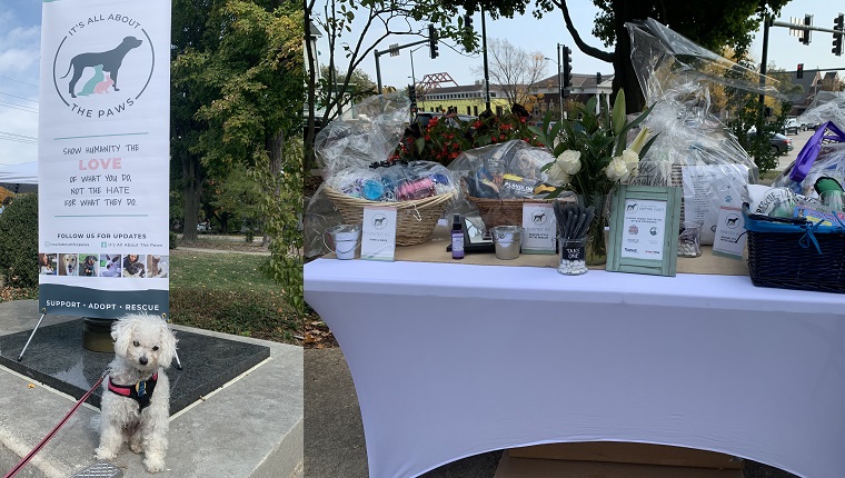 Leia hanging out at the event and checking out the prizes!