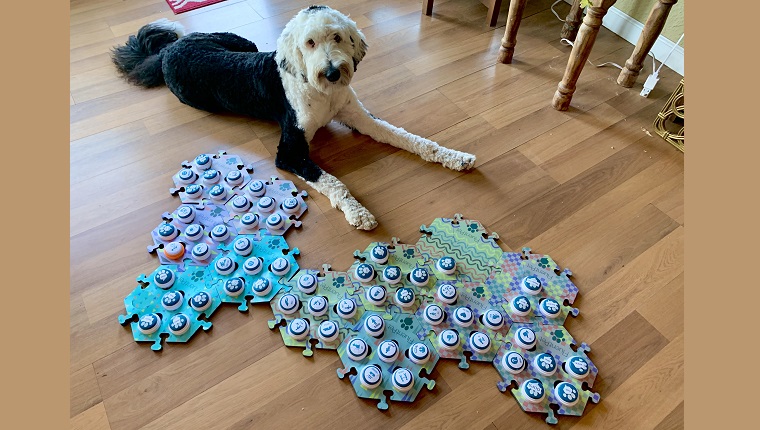 Bunny with her hextile buttons.