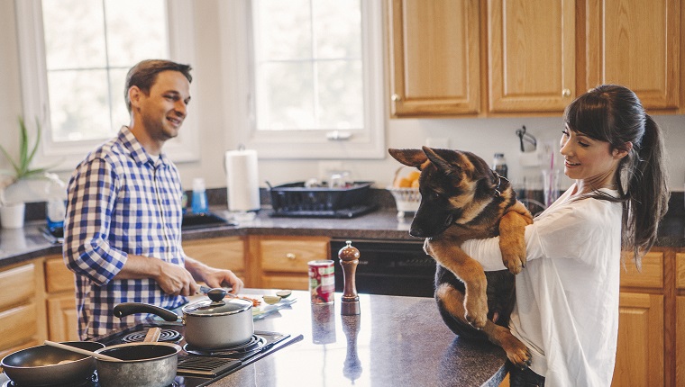 Couple in the kitchen cooking together . Women holding their dog in hands and he looking at food