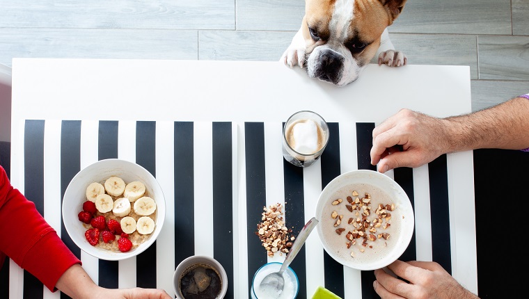 Tavolo della cucina con commensali. Ciotole di porridge di avena e frutta fresca. Mani che impugnano tazzine di caffè espresso e ciotole di ceramica colme di banana a fette, lamponi, avena e mandorle. Bicchiere di vetro con latte e spuma. Caffè macchiato.