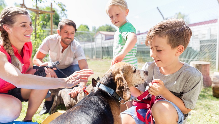 Family taking home a dog from the animal shelter giving new home adopting the pet