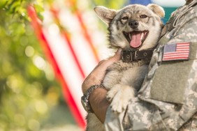 Soldier with his dog outdoors on a sunny day with american flag on the background