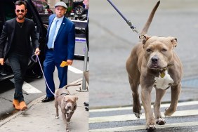 NEW YORK, NY - OCTOBER 22: Actor Justin Theroux is seen outside good morning america with is dog on October 22, 2019 in New York City.