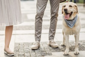 Couple outdoors on city street.They walking dog.