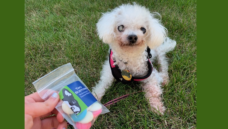 "Puppy Kisses" treat bag from Two Bostons 