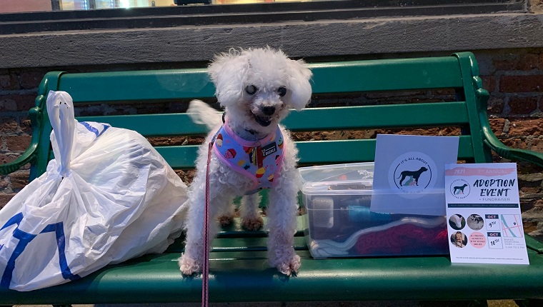 Leia standing proudly next to our donation items. "When is it time for ice cream, Mom?" 