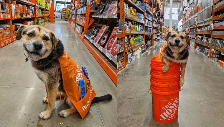 Heaven in Home Depot apron