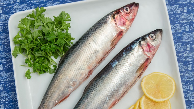 Two raw gutted herrings. Lemon slices and parsley. White plate on bluish decorative surface. High point of view.