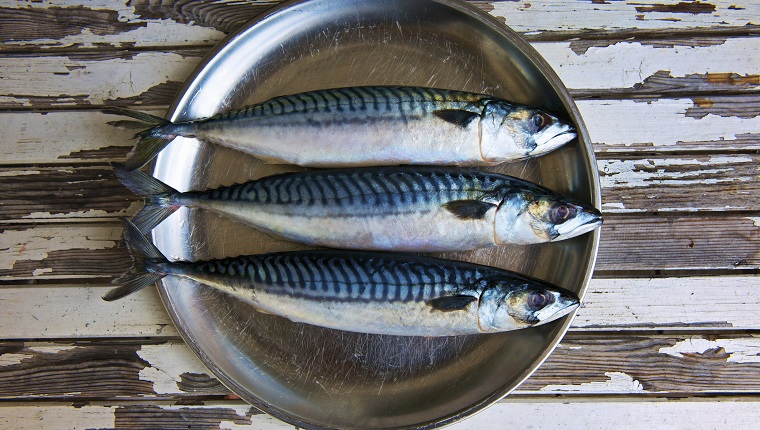 Close up of plate of mackerels