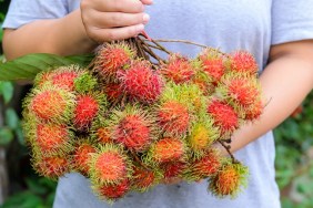 A woman farmer with fruits (rambuton)