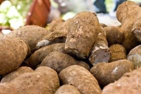 A stack of yellow yam at a farmers market.