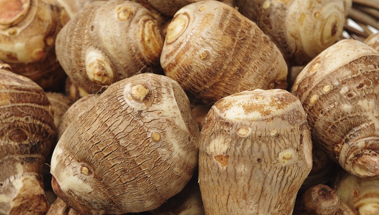 Yam, traditional tubercle of brazilian cuisine