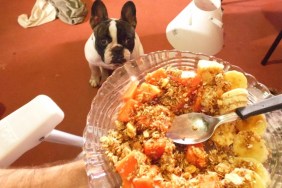 The French bulldog seems to always want food!! And eat everything you give her! Including papaya, banana and granola.