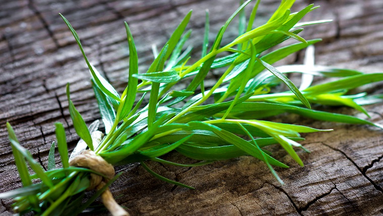 Tarragon