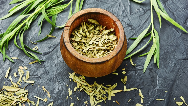 Raw and dry tarragon spice.Tarragon or Artemisia dracunculus