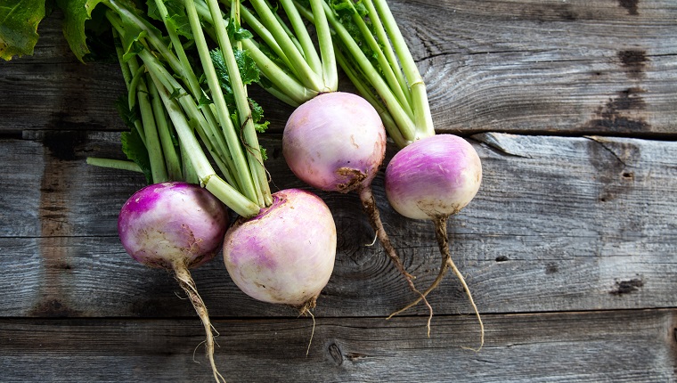 rustic organic turnips with fresh green tops and roots on genuine wood background for sustainable agriculture and vegetarian food, flat lay