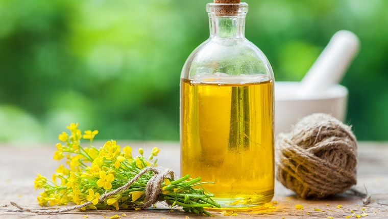 Bottle of rapeseed oil (canola) and repe flowers on table outdoors