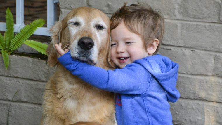 Little boy hugging and showing affection and love for his best friend, a cuddly golden retriever.