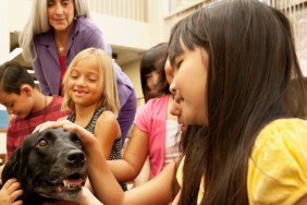 dogs lower stress in children