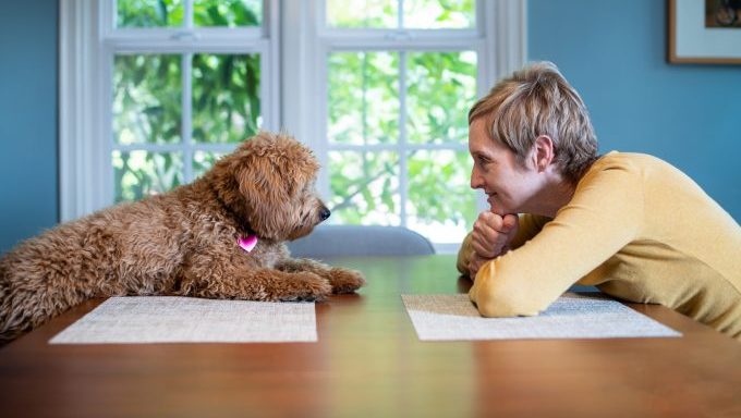 dog psychic