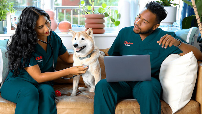 at-home veterinary service