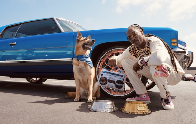 snoop doggie doggs