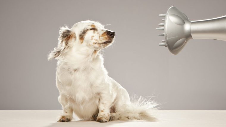 house fire hair dryer