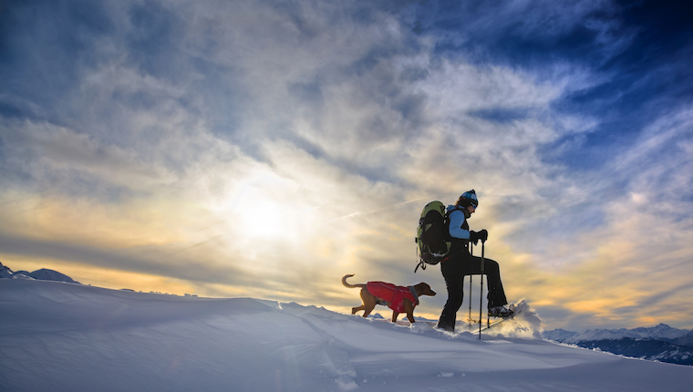 winter hiking with a dog