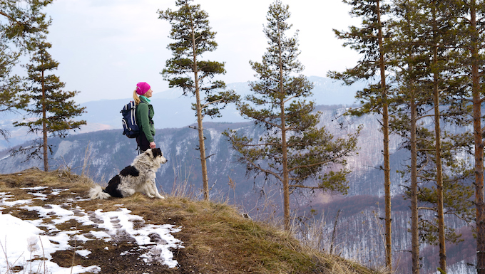 winter hiking with a dog