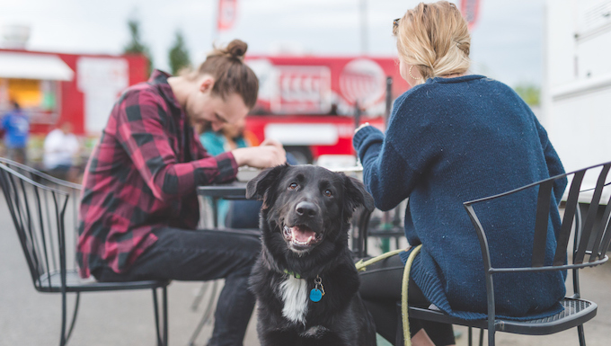 dog on a first date