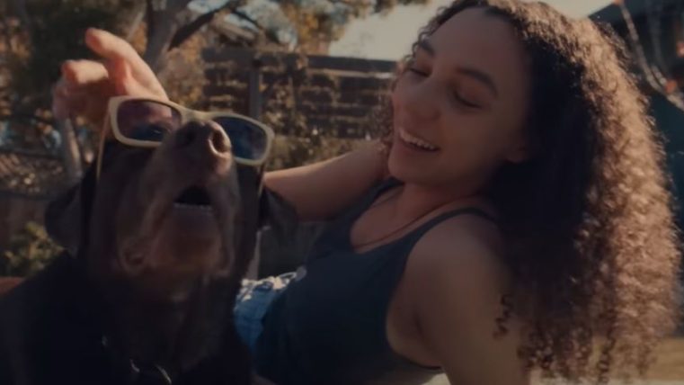 the farmer's dog super bowl ad