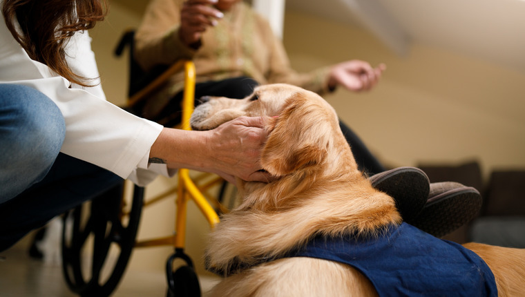 A woman pets a service dog.