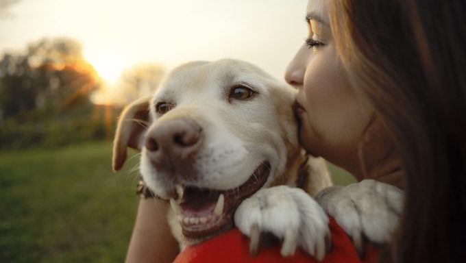 woman holding smiling dog funny dog quotes