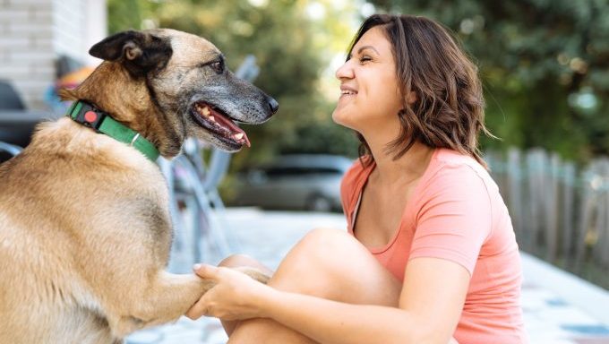 woman hugging Belgian Malinois best dog breeds for capricorn