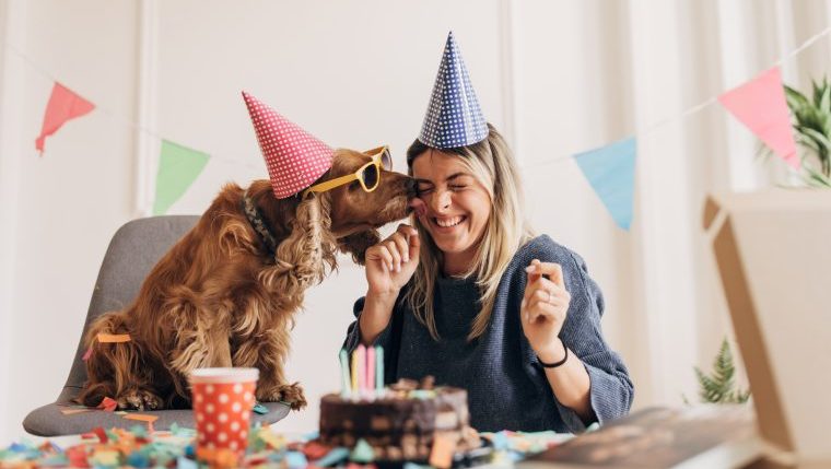 dog and owner celebrating birthday dog years