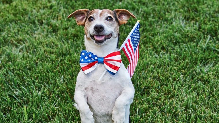 patriotic dog names inspired by political figures