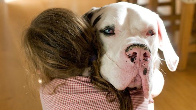 Best Dog Breeds for Children on the Autism Spectrum