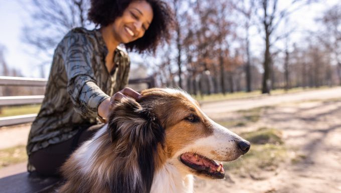 woman caressing dog keeping dog safe from pet thieves