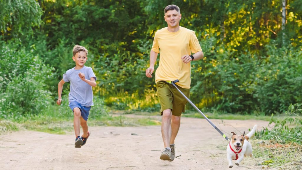 Hands-free leashes are a great alternative when jogging.