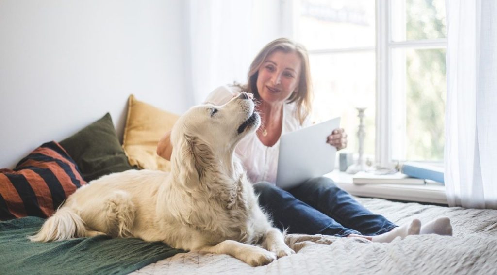 senior woman petting and talking to golden retriever what your dog would say if they could talk