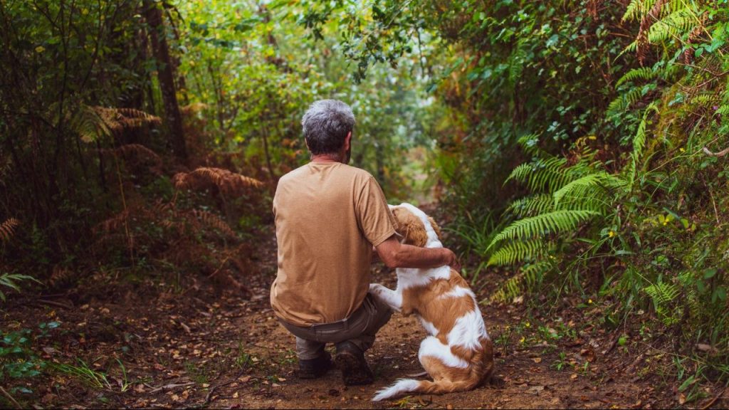 penn state professor accused of animal cruelty of dog in woods