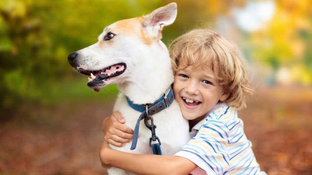 Smiling boy hugging small pit bull mix at their forever home.