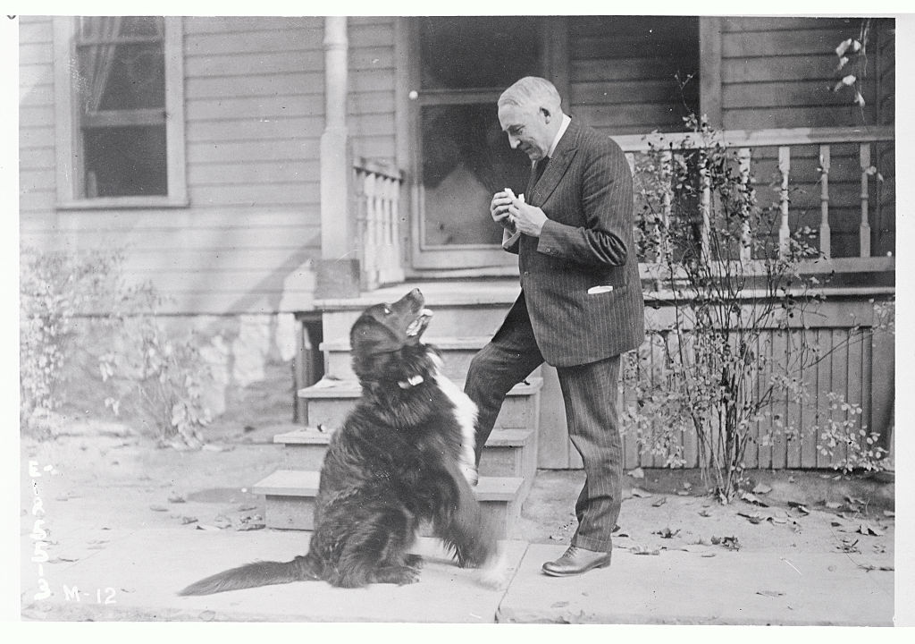 Warren G. Harding at Home with Dog