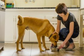 Woman free feeding dog in kitchen.