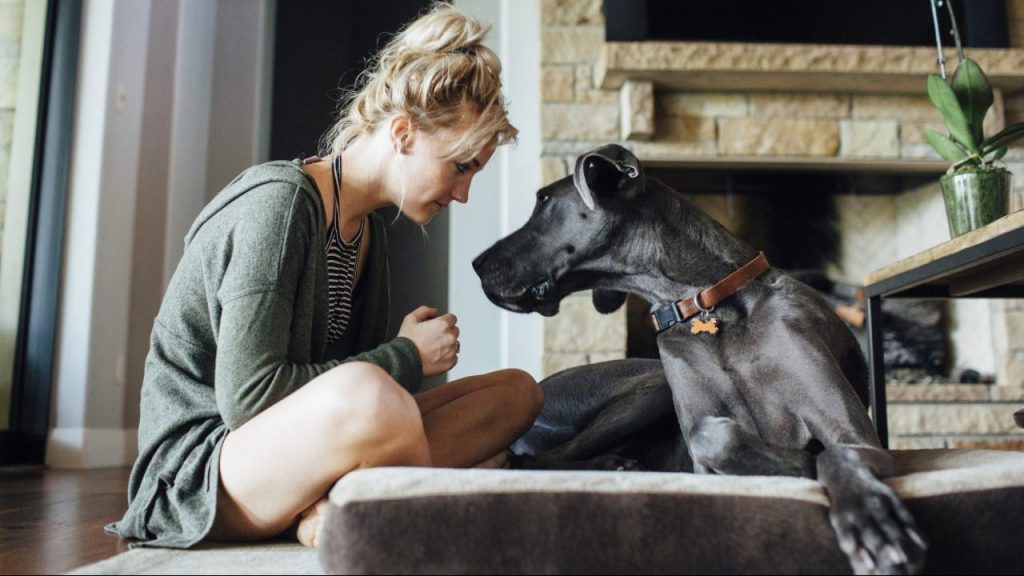 Woman looking at dog in human dog bed.