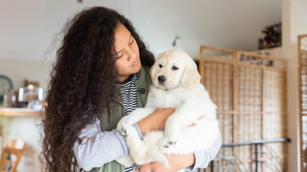 Bringing home a new dog can be an exciting time.